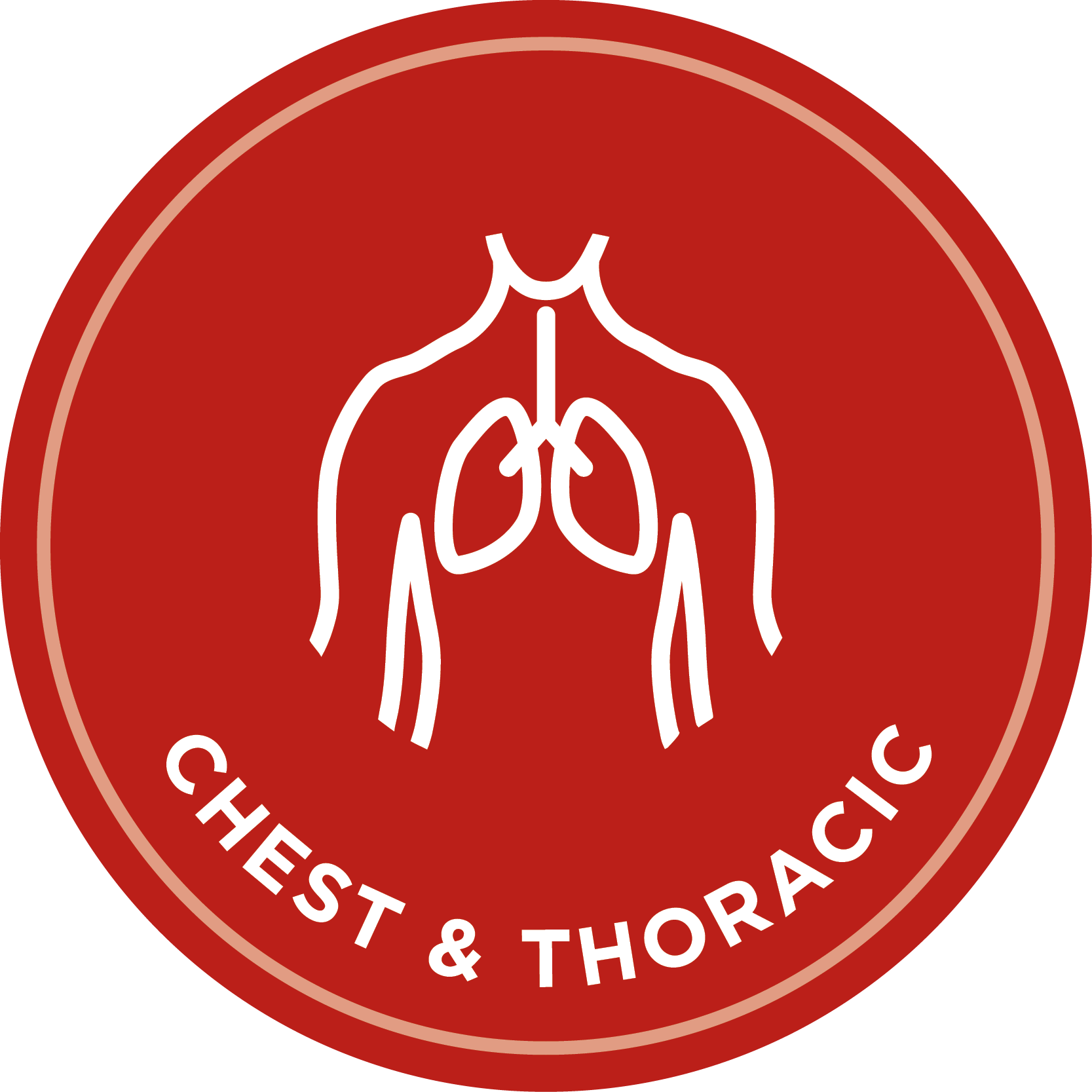 chest & thoracic